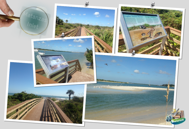 …we walked on the&nbsp;beach!.