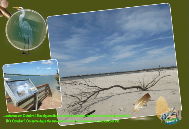 …the white herons at entrance of the Matanzas&nbsp;river!