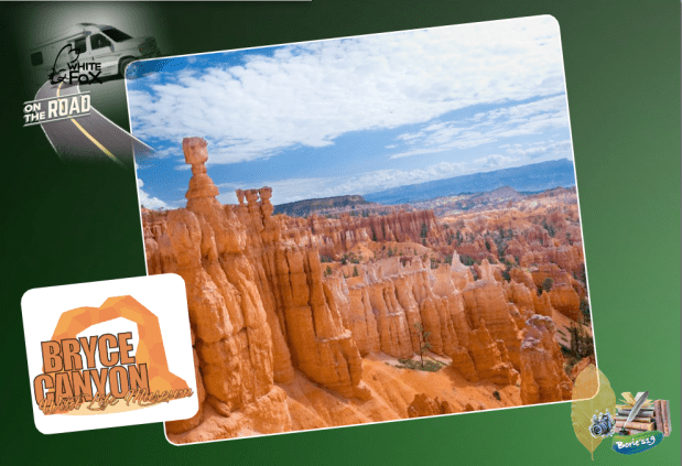 …a hell of a place to lose a&nbsp;cow!.