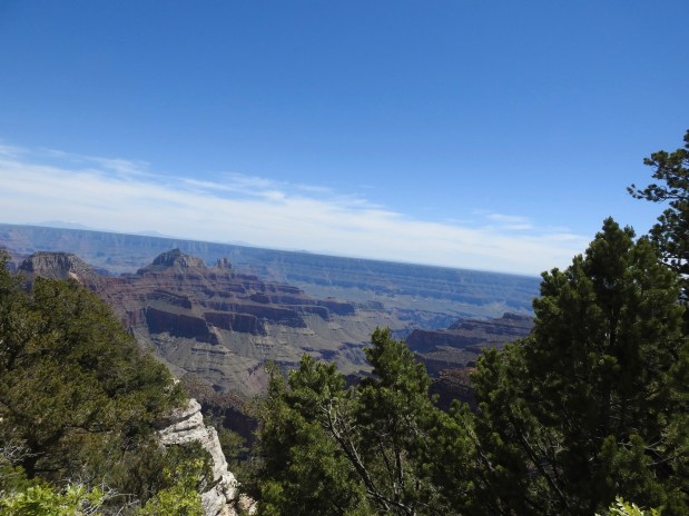 …listening and feeling the wind from&nbsp;west!.