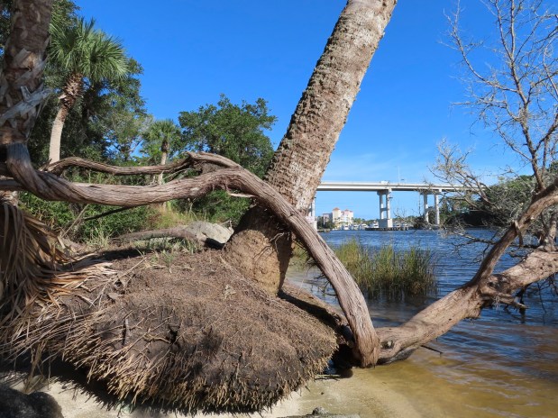 …parque da beira d’água!. (Waterfront&nbsp;Park)!.